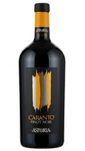 Astoria Caranto Pinot Noir 2024 11.5% 750ml Bottle
