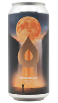 Polly's Brew Co. Infinite Source 4.1% 440ml Can