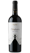 Tagaro Pinataro Nero di Troia 2023 13% 750ml Bottle